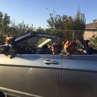 Cindy Herring Photo 14