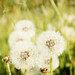 Jason Levan Photo 5