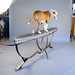 Cynthia Wynn Photo 22
