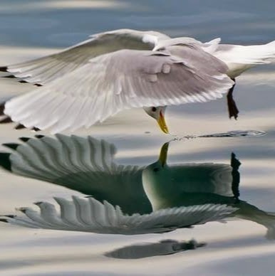 Juan Perales Photo 9