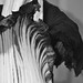 Lois Herman Photo 14