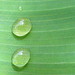 Doreen Lee Photo 35