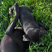 Samantha Jackson Photo 16