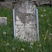 Ruth Atchison Photo 6