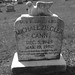 Michael Ziegler Photo 45