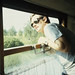 Ray Cunningham Photo 12