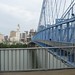 Diane Covington Photo 17