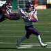 Shane Porter Photo 28