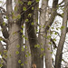 April Beech Photo 3