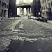 Frank Lerner Photo 15