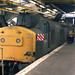 Stephen Tinsley Photo 18