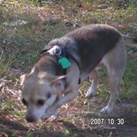 Kenneth Higginbotham Photo 22