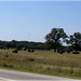 Carroll Fisher Photo 4
