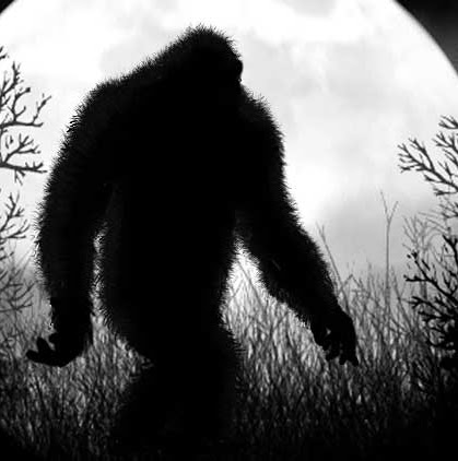 Billy Drake Photo 32