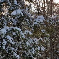 Elaine Mccarty Photo 9