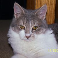 Kimberly Boucher Photo 21