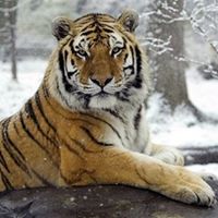 Teresa Truitt Photo 10