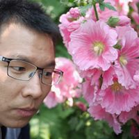 Cheng Ku Photo 22