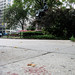 Mark Broadway Photo 19