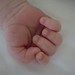 Nicholas Hand Photo 10