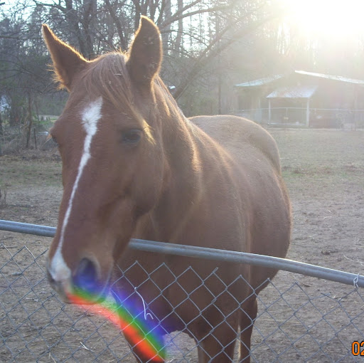 Nancy Buckner Photo 15