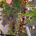 Flora Moon Photo 6
