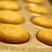 Betty Freer Photo 9