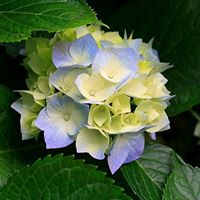 Donna Wolff Photo 26
