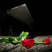 Dana Rose Photo 16