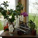 Andrea Plant Photo 18