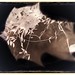 Randall Jarrell Photo 9