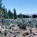 Don Roberson Photo 37