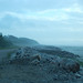James Bays Photo 38