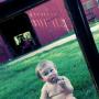 Ashley Hudgins Photo 14