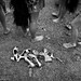 Barbara Summers Photo 15