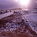 Patricia Winters Photo 24