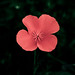 Ernest Winters Photo 17