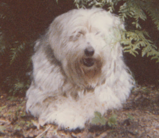 Fred Stone Photo 38