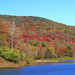 David Faunce Photo 21