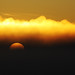 Misty Day Photo 19