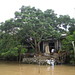 Vinh Du Photo 13