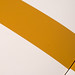 David Phinney Photo 8