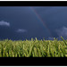 Jason Wheat Photo 12