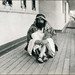 David Forster Photo 40
