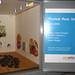 Shelia Gray Photo 11