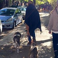Leslie Hutchens Photo 10