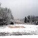 Jay Snow Photo 20
