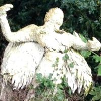 Ann Wooldridge Photo 32
