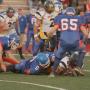 Darrel Ward Photo 17