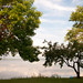 Steve Tabor Photo 15